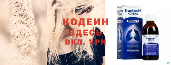 индика Абаза
