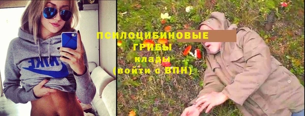 ГАЛЛЮЦИНОГЕННЫЕ ГРИБЫ Алексин