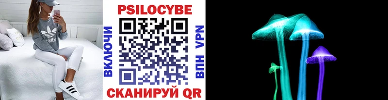 Псилоцибиновые грибы мицелий  Лабинск 